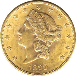 20 Dollar American Liberty Head 1899