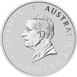 Kookaburra 1 Kilo 2025