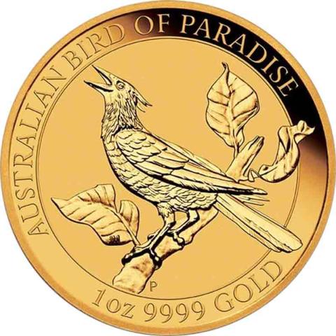 Australien Birds of Paradise Manucodia Paradiesvogel 2019 