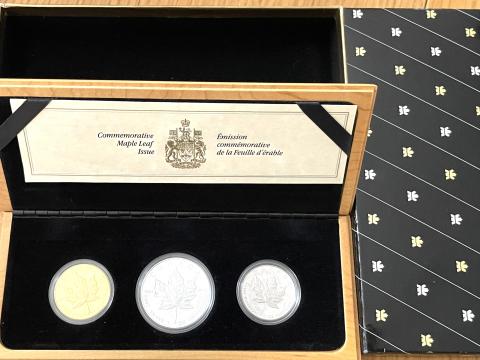 Kanada Maple Leaf Proof Set 1989 im Etui Gold Silber Platin