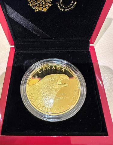 Kanada Golden Eagle Adler Birds of Prey 5 Unzen Goldmünze 2019 Proof