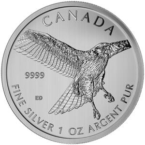 1 Unze Silber Bussard Birds of Prey 2015