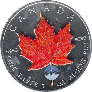 Maple Leaf Farbe 2004