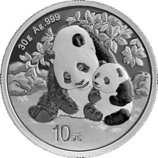 China Panda 2024
