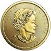 150 Jahre Kanada Voyageur 2017