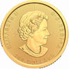 Klondike Goldrausch Goldwäsche 2021
