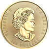 Klondike Goldrausch Goldwäsche 2022