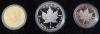 Kanada Maple Leaf Proof Set 1989 im Etui Gold Silber Platin