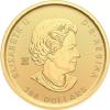 Klondike Goldrausch Goldwäsche 2023