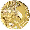 American Liberty Proof High Relief 2019