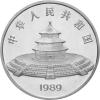China Panda 5 Unzen 1989 PP Silberpanda 50 Yuan mit Box