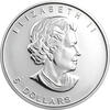 10 Unzen Maple Leaf proof im Lederteui 1998