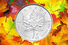 Maple Leaf 1 Unze 2014 