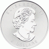 1,5 Unzen Silber Super Maple Leaf 2015 Kanada Royal Mint