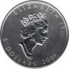 Maple Leaf Farbe 2001