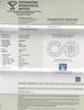 Diamant und Brillant 0,26 Carat mit Zertifikat IGI-154523723